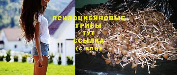 бутират Зеленокумск