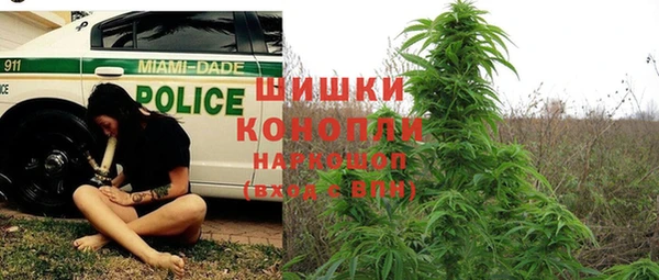 спиды Заводоуковск