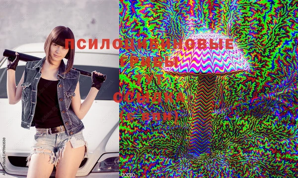 амфетамин Зерноград